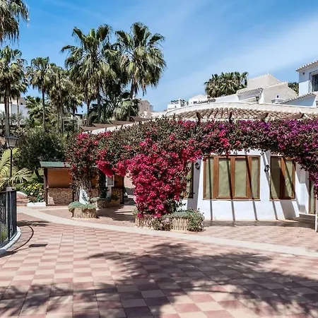 Oasis 16 *